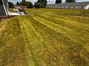 Louise F.'s Lawn Mowing service result