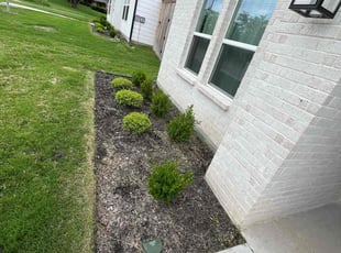 Cleanups by Marcos Aguilar for Aakash M. in Dallas, TX