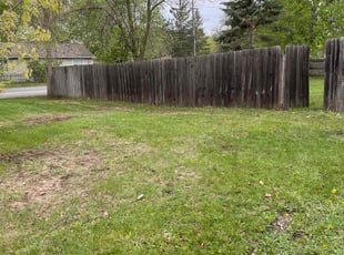 Leaf Removal by Connor Doyle for Abdi S. in Minneapolis, MN