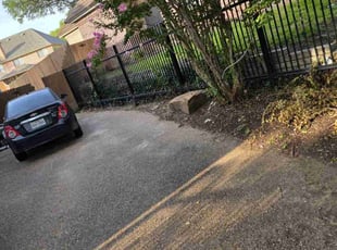 Daniel C.'s Leaf Removal service result