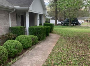 Bush Trimming by Jahi Scott for Robert R. in Harvest, AL