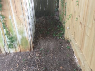 Cleanups by Joseph Meshell for Mitchell H. in Spring, TX