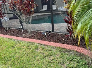 Leaf Removal by John Fappiano for Tom S. in Zephyrhills, FL
