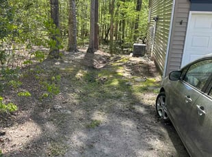 Leaf Removal by Lakeith Carlyle for Andrea K. in Williamsburg, VA