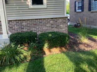 Bush Trimming by Jamie Martinez for Stephanie W. in West Allis, WI