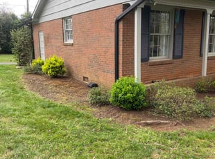 Leaf Removal by Jose Ordonez for Tina J. in Charlotte, NC