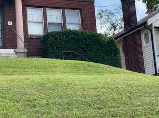 Bush Trimming by Rashaan Boyd for Jon T. in Cincinnati, OH