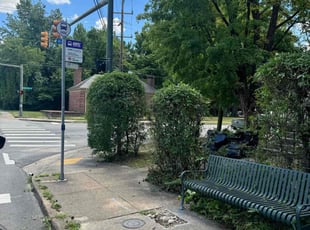 Bush Trimming by D Mitchell for Hunter S. in Richmond, VA