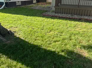 Alvin k.'s Lawn Care service result