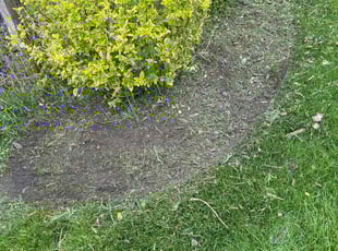 Weeding by Errick Elias for Lisa C. in Buffalo, NY
