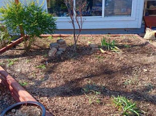 Weeding by Kassandra Winters for Alan K. in Arlington, TX