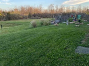 Brett w.'s Lawn Mowing service result