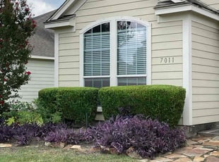 Timothy H.'s Bush Trimming service result