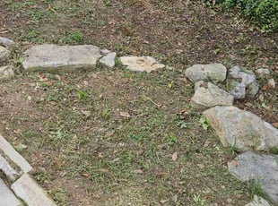 Weeding by Chais Dixon for Danielle N. in San Antonio, TX