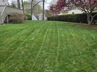Angelo B.'s Lawn Service service result