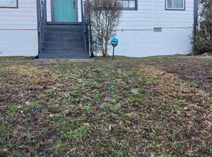 Bush Trimming by Darius Baugh for Natacha J. in Atlanta, GA