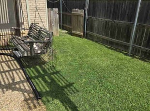 Leaf Removal by Demetrist Maddox for Darla S. in Arlington, TX