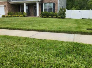 Gwen C.'s Lawn Care service result