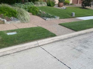 Arthurine W.'s Lawn Mowing service result