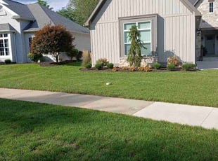 Matt H.'s Lawn Mowing Service service result