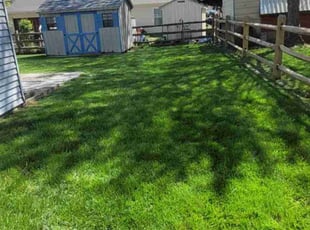 Laura G.'s Lawn Service service result