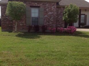 Bush Trimming by Brandon Underwood for Chris P. in Prairieville, LA