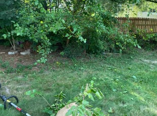 Bush Trimming by Alex Sanner for Marina K. in Columbus, OH
