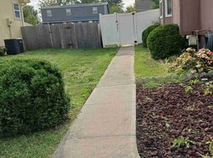 Bush Trimming by Timothy Walker for Jose O. in Lee's Summit, MO