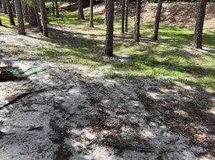 Leaf Removal by Liliana Ochoa-Pascual for Kat H. in Oldsmar, FL