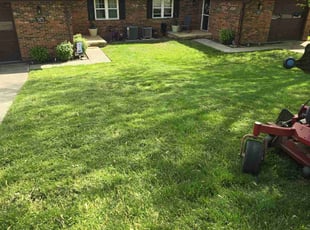 Eduardo P.'s Lawn Maintenance service result