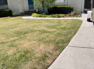 Leaf Removal by King Odeh for Daniel S. in Atlanta, GA