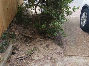 Leaf Removal by Ashley McCarty for Justin W. in Memphis, TN