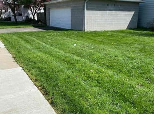 Hillary A.'s Lawn Service service result