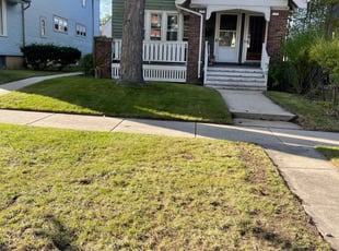 Leaf Removal by Michael Williams for David S. in Milwaukee, WI