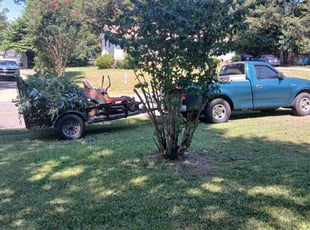 Bush Trimming by Tim Hargett for Tina M. in Gastonia, NC
