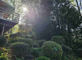 Bush Trimming by Isaiah Cuthbertson for Cheyenne S. in Mooresville, NC