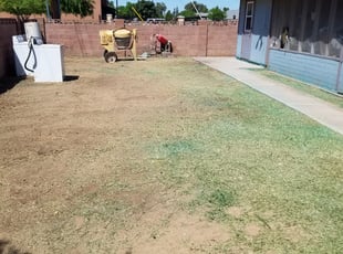 Weeding by Raul Blanco for Pam T. in Tempe, AZ