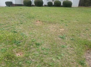 Bush Trimming by Rodney Rhone for Sheila G. in Irmo, SC