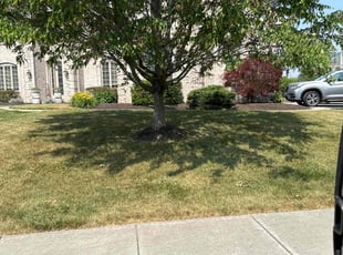 Bush Trimming by Luis Contreras for Jim H. in Fortville, IN