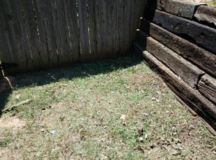 Cleanups by Muhammad Rasheed for Hayley S. in Midwest City, OK
