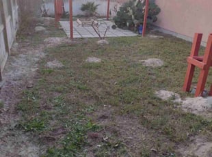 Leaf Removal by Albert Magana for Kyle B. in Corpus Christi, TX