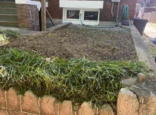 Weeding by Pablo Reyes for Jake l. in Washington, DC