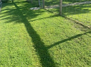 Christopher C.'s Lawn Care service result