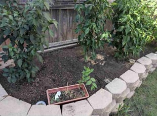 Rita B.'s Flower Bed Weeding service result