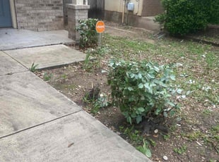 Bush Trimming by George Tobias for Eason M. in Austin, TX