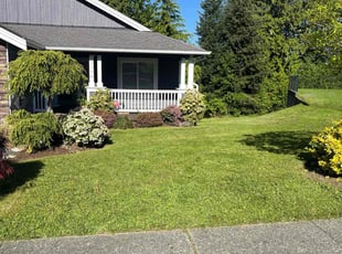 Tracey T.'s Lawn Mowing service result