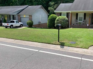 Luis L.'s Lawn Care service result