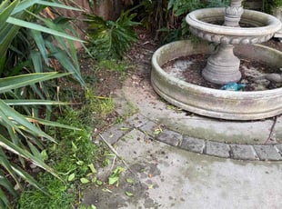 Cleanups by Carlos Gutierrez for Brian U. in Elk Grove, CA