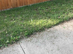 Cleanups by Tim Kirkpatrick for Paeten D. in Kansas City, MO