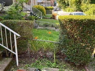 Cleanups by Kenneth Jackson Jr for Lance T. in Baltimore, MD